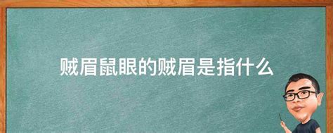 贼眉鼠眼面相|贼眉鼠眼面相 贼眉鼠眼面相是什么特征